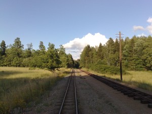 20090725109