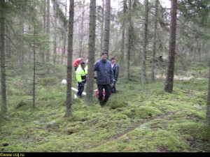 På väg genom skogen