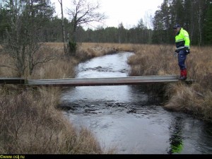Framme vid ån