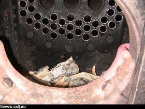 img_0746